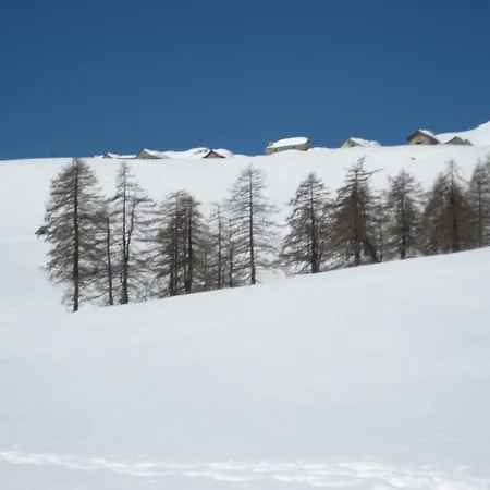 Walser App.31 Pozzi